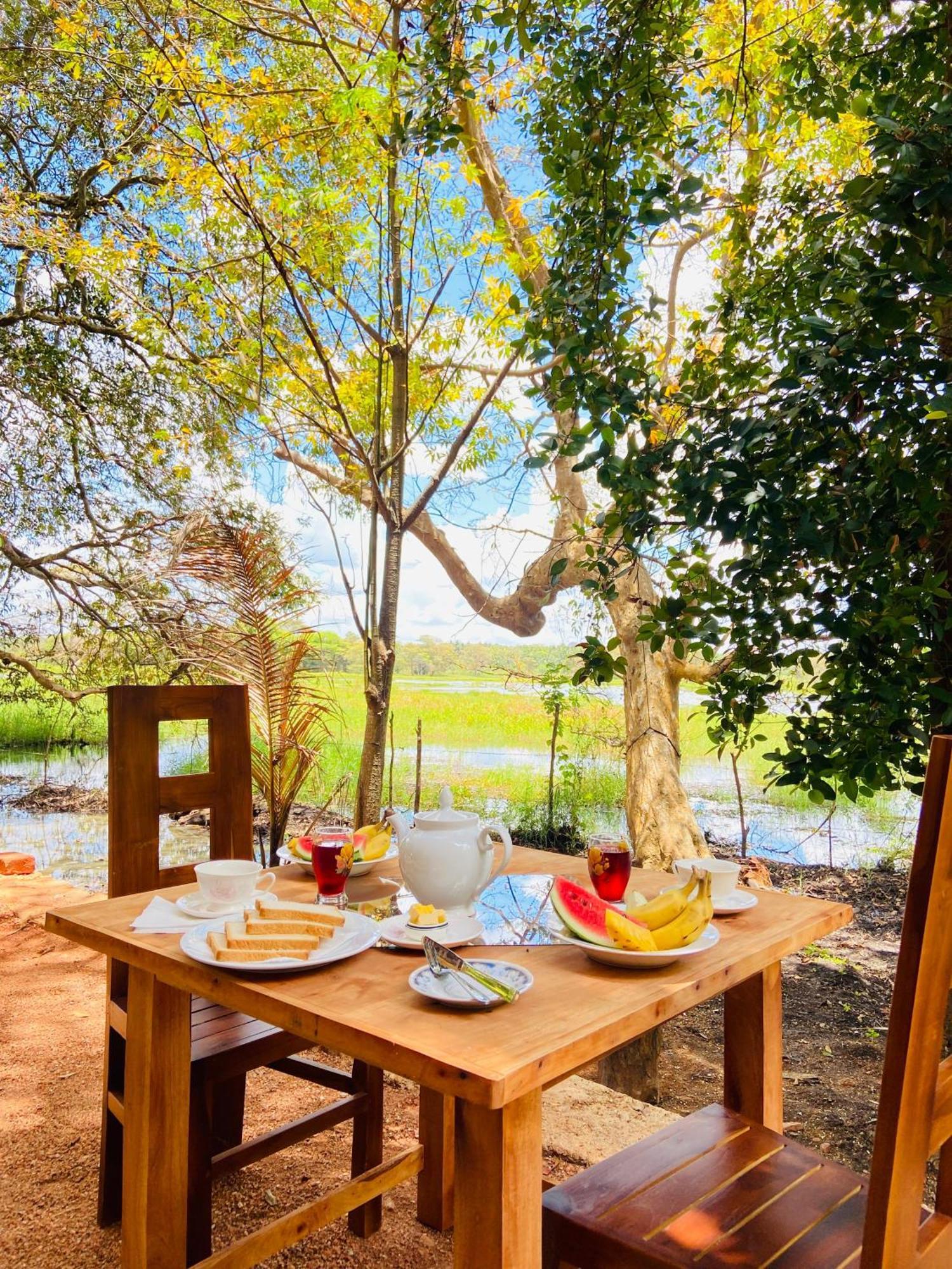 Nature Lotus Villa 담불라 외부 사진