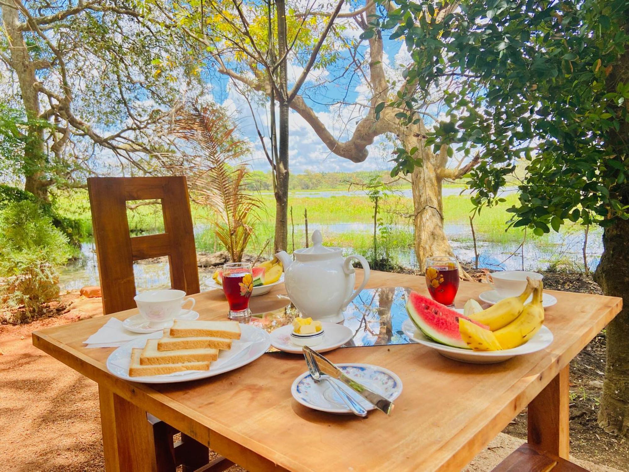 Nature Lotus Villa 담불라 외부 사진