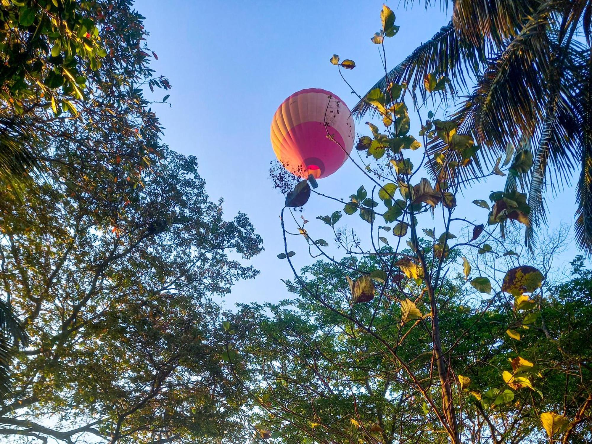Nature Lotus Villa 담불라 외부 사진