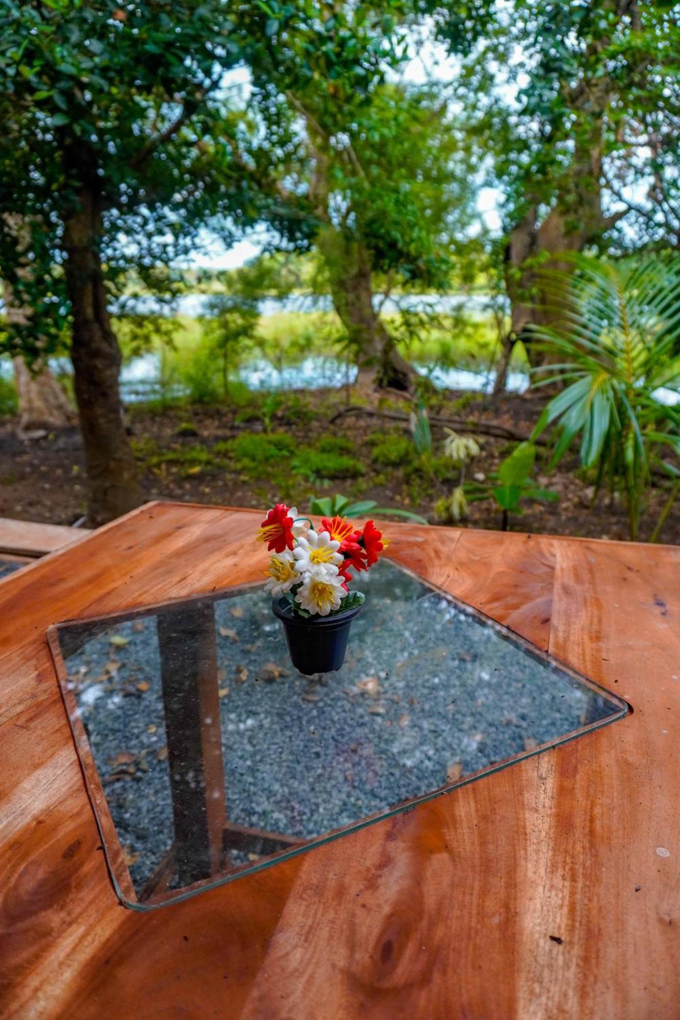 Nature Lotus Villa 담불라 외부 사진