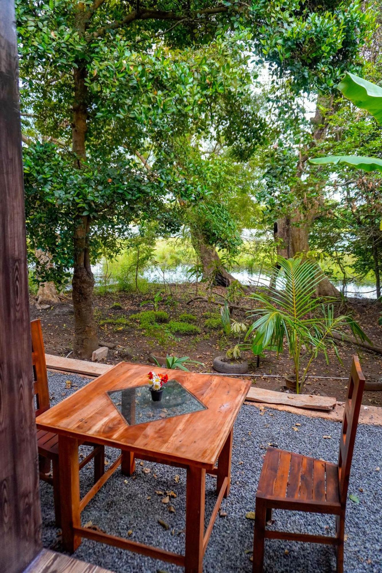 Nature Lotus Villa 담불라 외부 사진