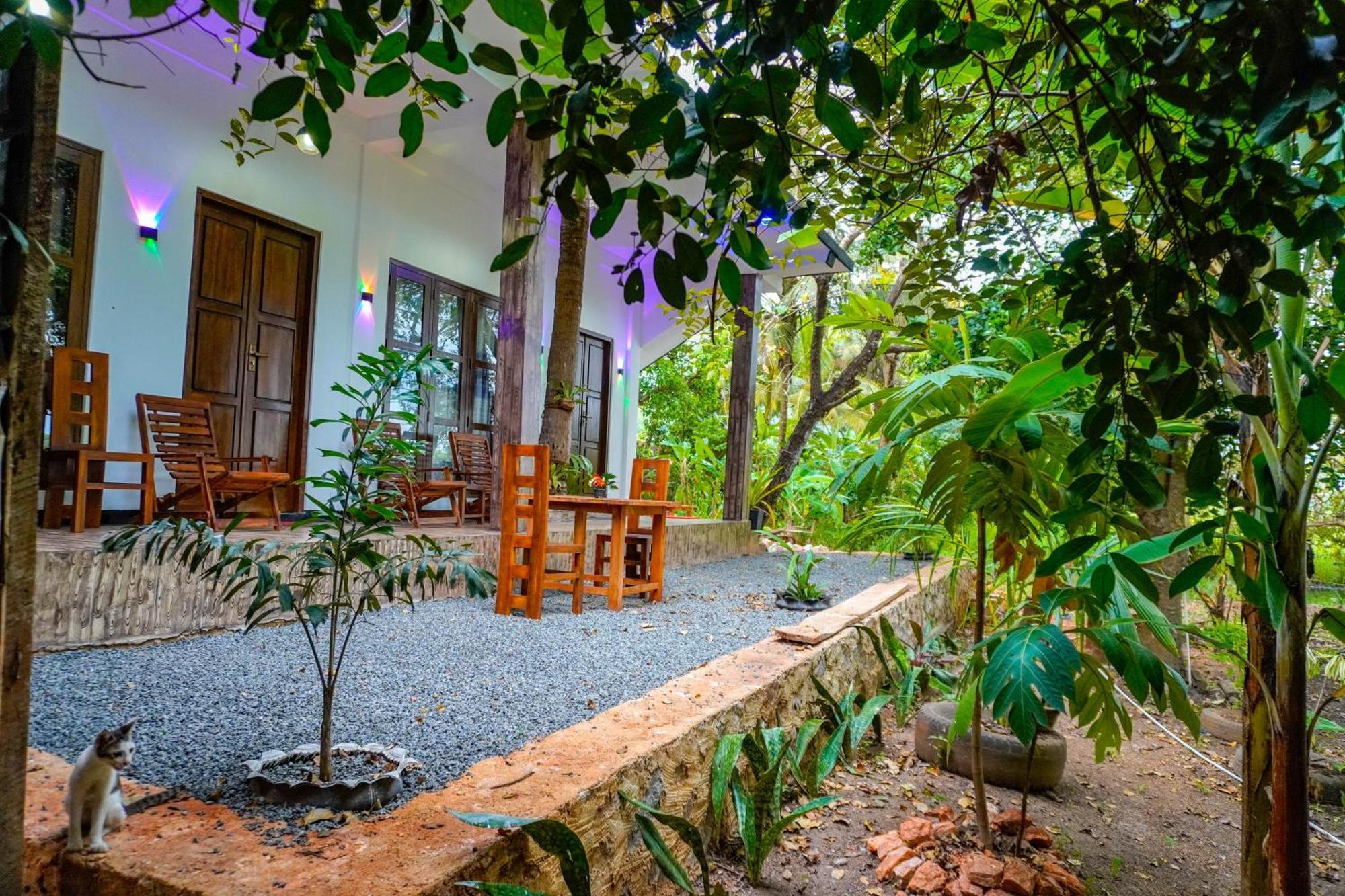 Nature Lotus Villa 담불라 외부 사진